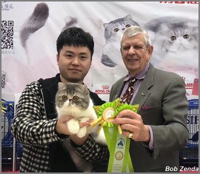 JLRS Cats Ouou